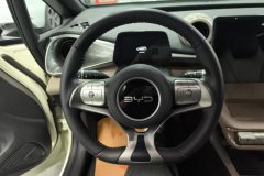 2024 BYD Dolphin 2024 Glory 420km Fashion #15