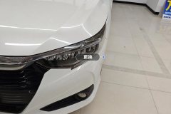 მარცხენა წინა ფარი