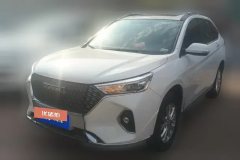 2021 Haval M6 2021 1.5T AT DCTLuxurySmart ConnectPLUS #1