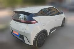 2025 BYD Seagull 2024 Glory 305km vitalityEdition #3