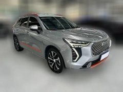 2021 Haval Chulian 2021 1.5T ATLarge3Edition #2
