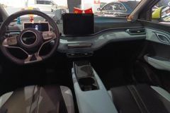 2024 BYD Seagull 2024 Glory 305KM freeEdition #13