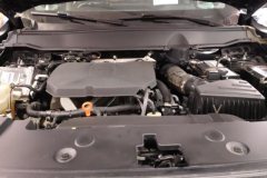 2024 Haval Big Dog Plus 2023 2.0T AT 2WDShionoEdition #10