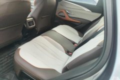 2023 BYD Song Pro PHEV 2023 Champion 1.5L AT DM-i 71KMLeading #11
