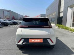 2023 BYD Seagull 2023 freeEdition #8