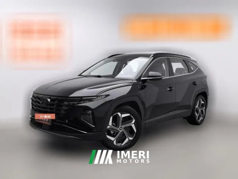 2023 Hyundai Tucson 2023 TucsonL 1.5T AT 2WDDLXLuxury