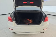 2020 BMW 5 Series 2021 2.0T AT 530LiLeadingLuxury Pkg #4