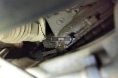 Oil Pan