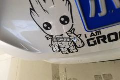 Trunk Lid