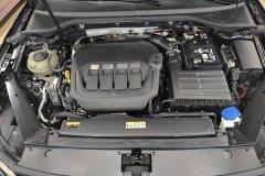 2023 Volkswagen Magotan 2020 2.0T AT 330TSILeading #10