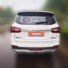 2020 Dongfeng Fengxing Fengxing T5L 2020 1.5T AT Luxury7Seat China VI #7