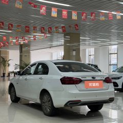 2019 Geely Auto Emgrand EV 2018 EV450Entry EV #6