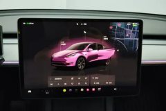 2024 Tesla Model Y 2024 rear wheel driveEdition #13