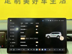 2025 Tank 500 PHEV 2024 Hi4-T 2.0T AT #24