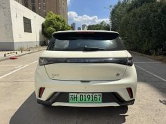 2023 BYD Dolphin 2023 420km freeEdition #11