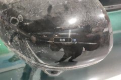 Left Exterior Mirror