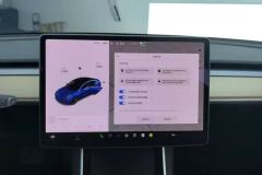 2020 Tesla Model 3 2020 StandardBattery lifeRWDUpgradeEdition #14