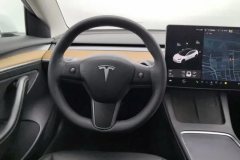 2021 Tesla Model 3 2021 StandardBattery lifeRWDUpgradeEdition #15
