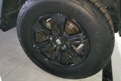 2021 Tank 300 2021 Off-road 2.0TAT conqueror #6