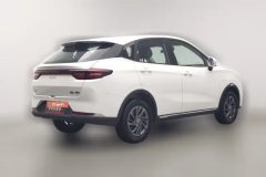 2024 Neta AYA 2023 318 Lite #2