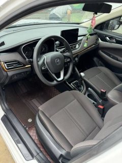 2019 Chang'an Eado DT 2018 1.6 MT Smart #2