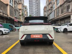 2023 BYD Seagull 2023 freeEdition #5