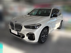 2020 BMW X5(Imported)(Imported) 2020 2.0T AT 30i MSport Pkg (Imported) #1