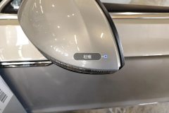 Left Exterior Mirror