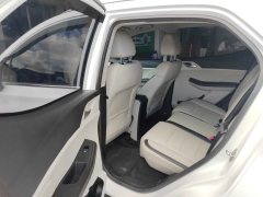 2022 BYD Yuan Pro 2021 want to love1bornEdition #6