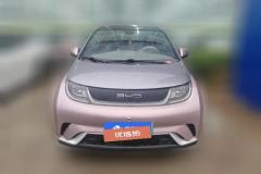 2022 BYD Dolphin 2021 405km Fashion #2