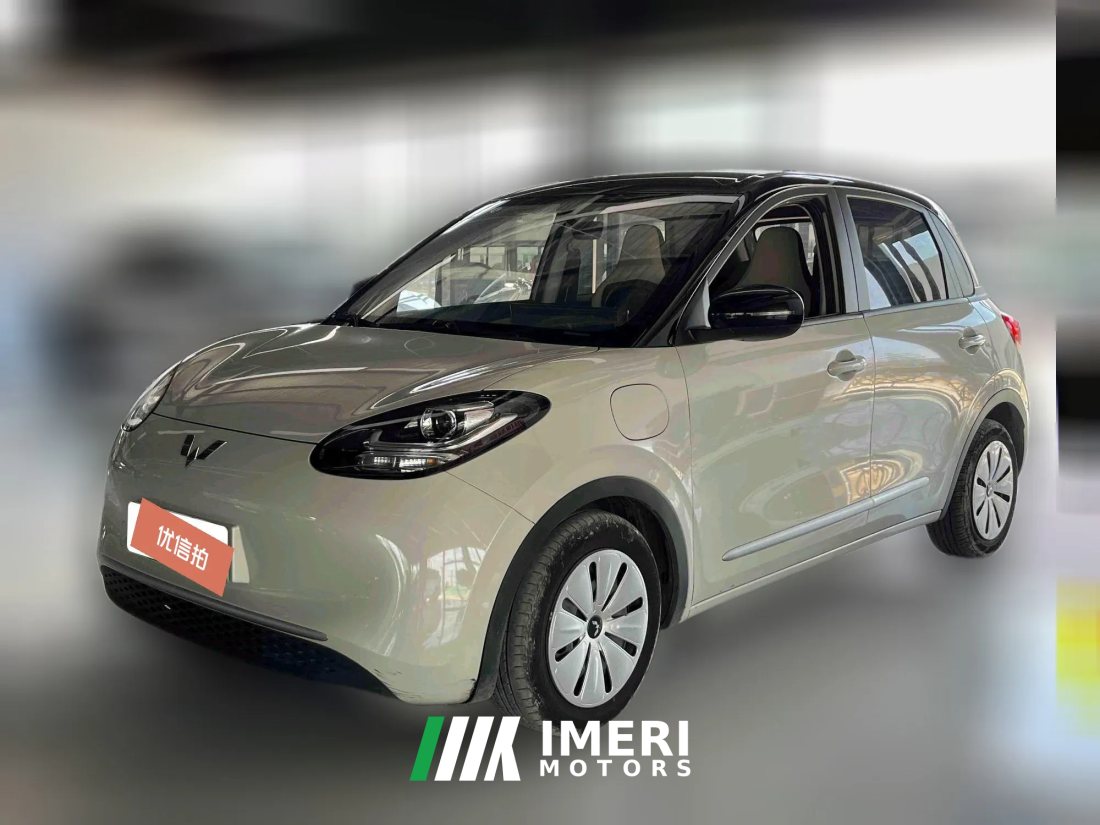 2023 Wuling Motors Wuling Bingo 2024 333km LingxiConnected