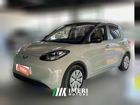 2023 Wuling Motors Wuling Bingo 2024 333km LingxiConnected