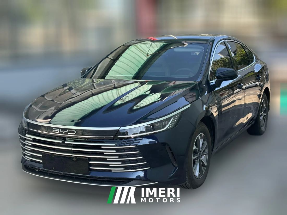 2023 BYD Destroyer 05 2023 Champion 1.5L AT DM-i 55KM Premium