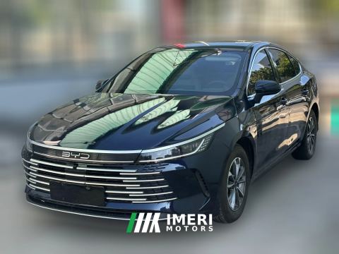 2023 BYD Destroyer 05 2023 Champion 1.5L AT DM-i 55KM Premium