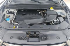 2023 Haval H6 2021 1.5T AT China tideUrbanEdition #10