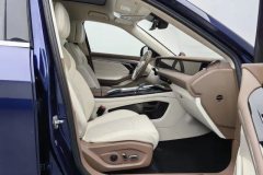 2021 Voyah Free 2021 4WDStandardEREVExclusiveLuxury Pkg #22