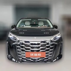 2025 BYD Xia 2025 DM-i 1.5T AT 180km excellence #2