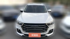 2021 Haval H6 2021 1.5T AT China tideChampion #2