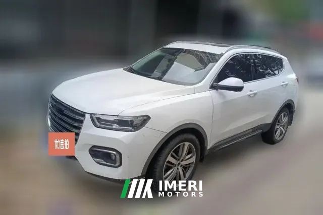 2019 Haval H6 2019 1.5T AT Red LabelLuxurySmart Connect