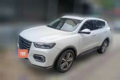 2019 Haval H6 2019 1.5T AT Red LabelLuxurySmart Connect #1