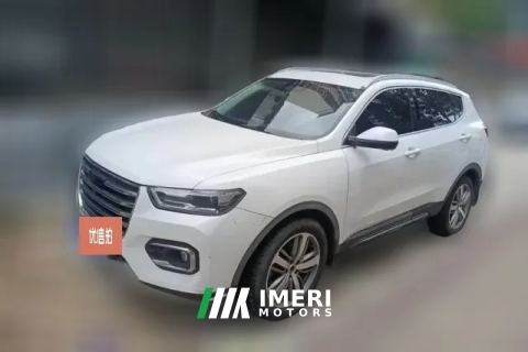 2019 Haval H6 2019 1.5T AT Red LabelLuxurySmart Connect