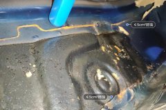 Body Floor
