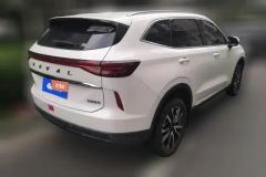 2021 Haval H6 2021 1.5T AT No.3generation2WDPro #3