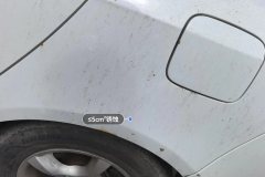 Left Rear Fender