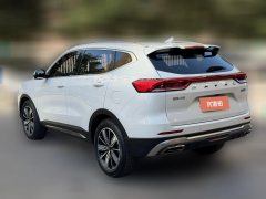 2024 Haval H6 2023 China tideEdition 1.5T AT Champion #7