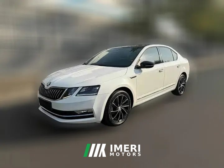 2018 Škoda Octavia 2018 1.4T AT TSI280Luxury