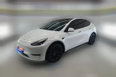 2021 Tesla Model Y 2021StandardBattery lifeRWDEdition #1