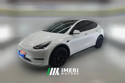 2021 Tesla Model Y 2021StandardBattery lifeRWDEdition
