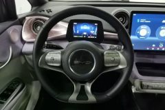 2022 BYD Dolphin 2021 401km knightEdition #15