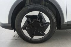 2023 Geometry E Firefly 2024 301km starlight #6